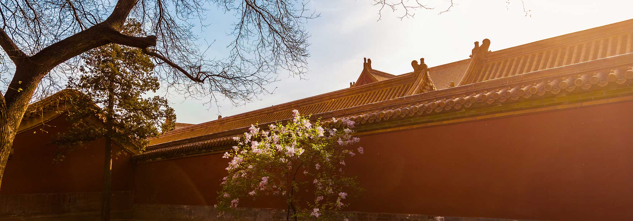 公教活动 | 副院长何挥毫导赏“刘万鸣艺术展”，带观众沉浸式感受艺术魅力