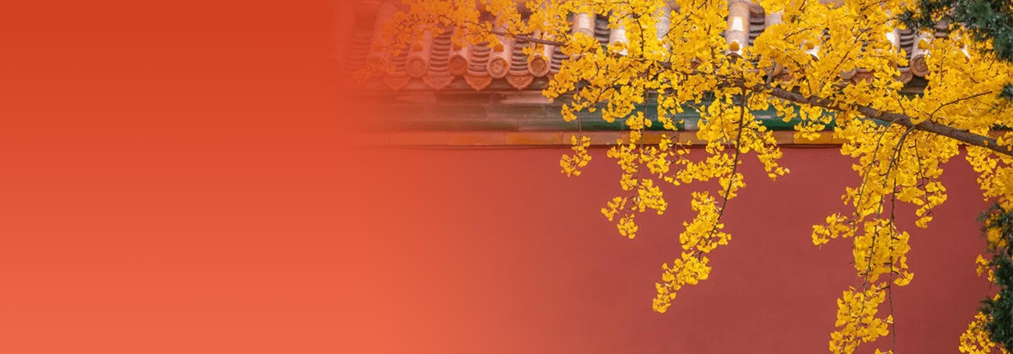 中国宋元绘画研究院任命书-院任字〔2025〕第012号